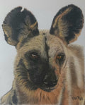 AFRICA WILD DOG EARS