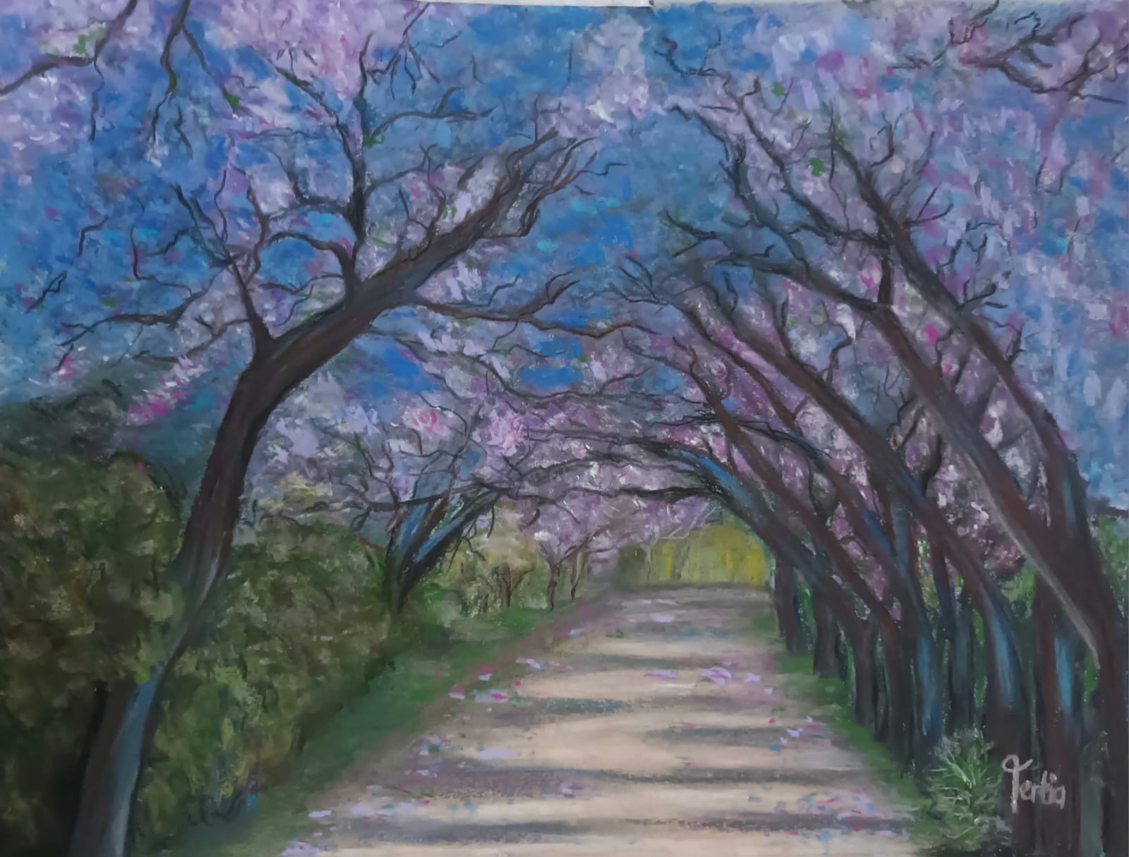 JACARANDA LANE